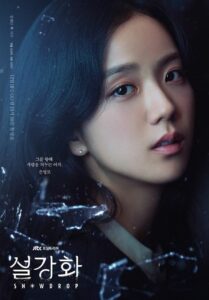 مسلسل كوري Snowdrop