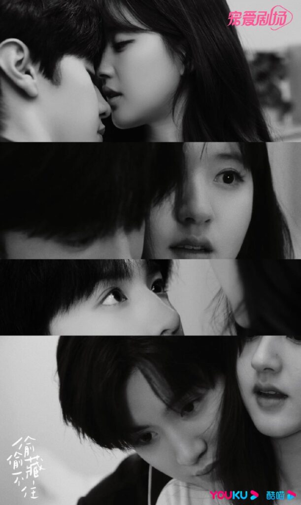Hidden Love